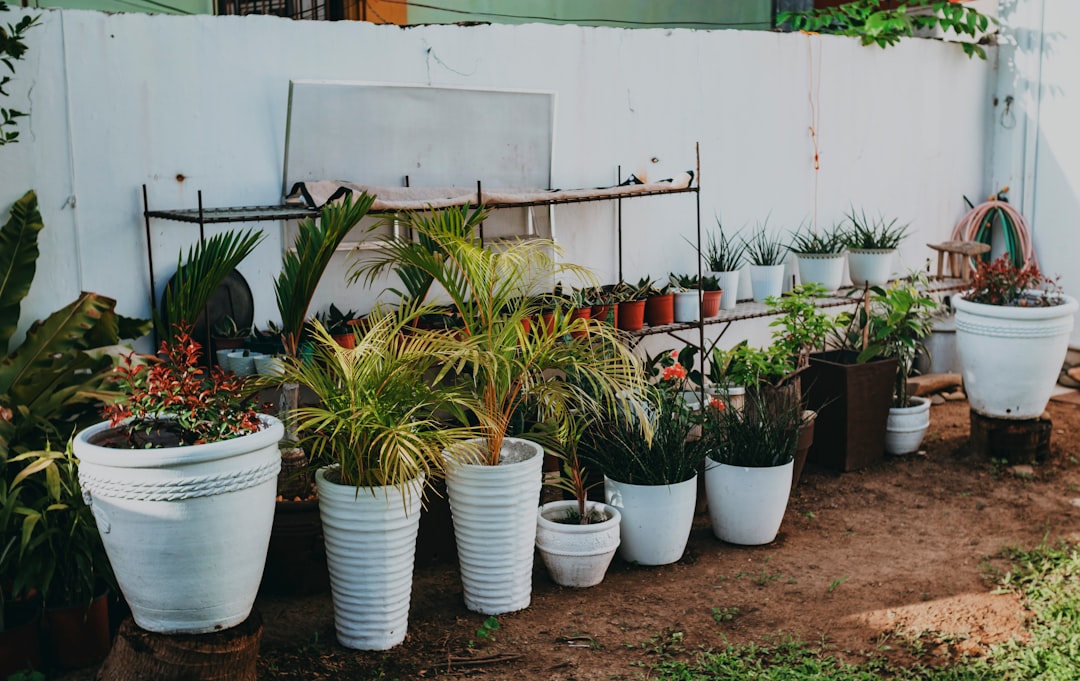 découvrez les meilleures plantes de jardin pour embellir votre espace extérieur et créer un environnement naturel magnifique et harmonieux.