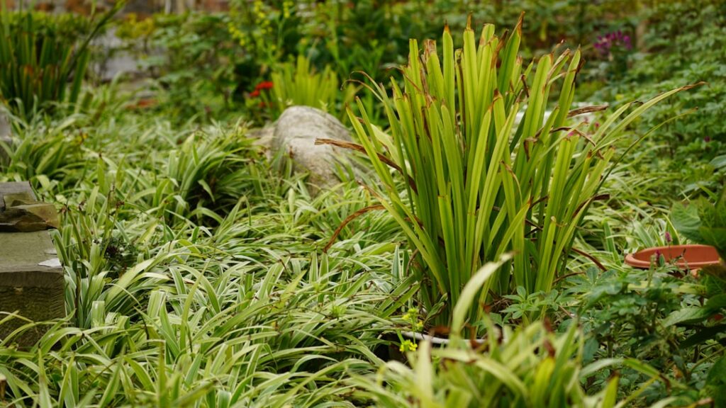 découvrez les meilleures plantes pour votre jardin afin de créer un espace verdoyant, coloré et accueillant toute l'année.